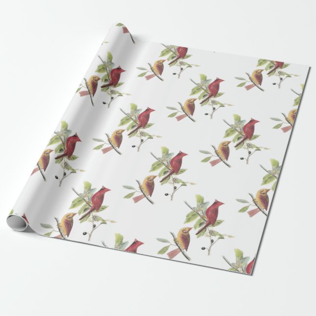Nördlicher Kardinal von Audubon Geschenkpapier (Ungerollt)