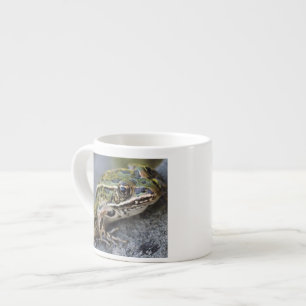 Nördlicher Leopardfrosch, See-through Island, Espressotasse