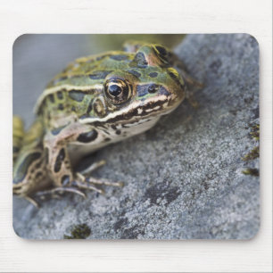 Nördlicher Leopardfrosch, See-through Island, Mousepad