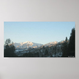 Nördlicher Rocky-Mountain-Wald Poster