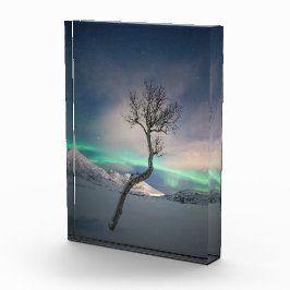 Nordlichtbaum Fotoblock