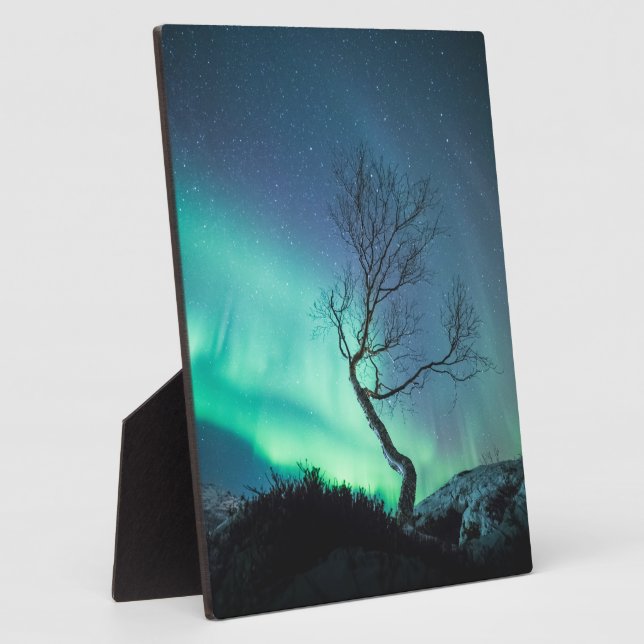 Nordlichtbaum Fotoplatte (Seite)