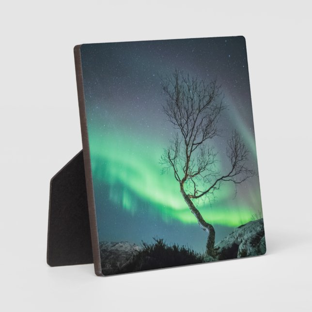 Nordlichtbaum Fotoplatte (Vorderseite)