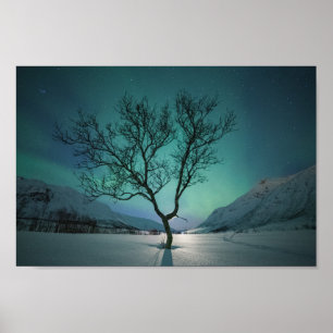 Nordlichtbaum Poster