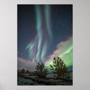 Nordlichtbäume Poster