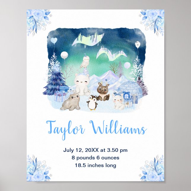 Nordlichter Arktische Tiere Geburtsstatistiken Poster (Vorne)