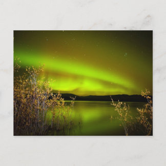 Nordlichter (Aurora borealis) Postkarte