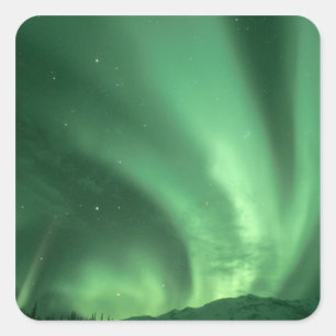 Nordlichter, Aurora borealis, über Vorgebirge Quadratischer Aufkleber