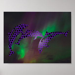 Nordlichter Delfin Delfine Landschaften Himmel Poster