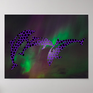 Nordlichter Delfin Delfine Landschaften Himmel Poster