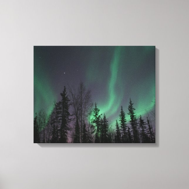 Nordlichter durch die Leinwand Bäume (Vorderseite)