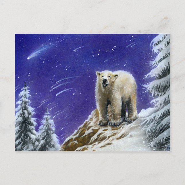 Nordlichter Eisbärenpostkarte Postkarte (Vorderseite)