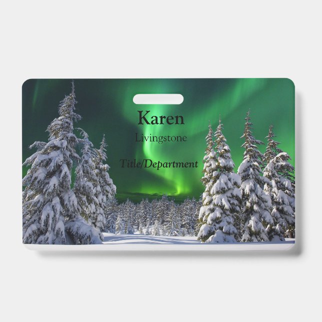 Nordlichter im Winter Ausweis (Front)