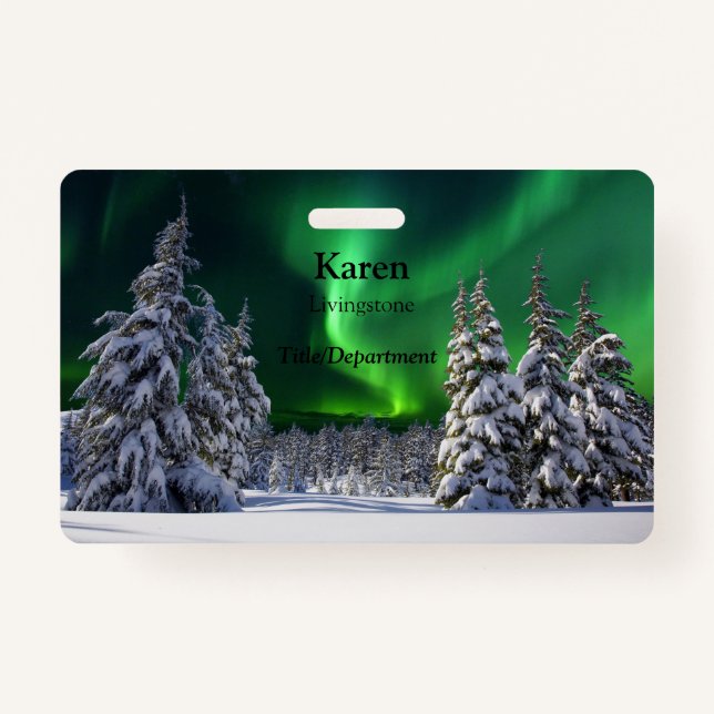 Nordlichter im Winter Ausweis (Vorderseite)