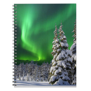 Nordlichter im Winter Notizblock