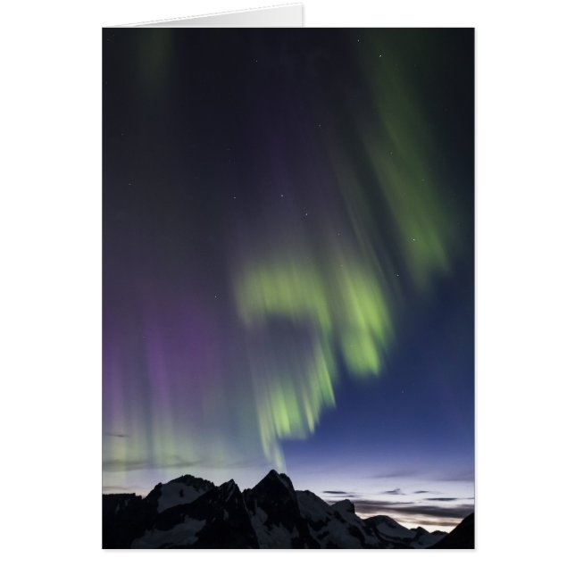 Nordlichter Juneau Icefield (freier Raum nach (Vorne)