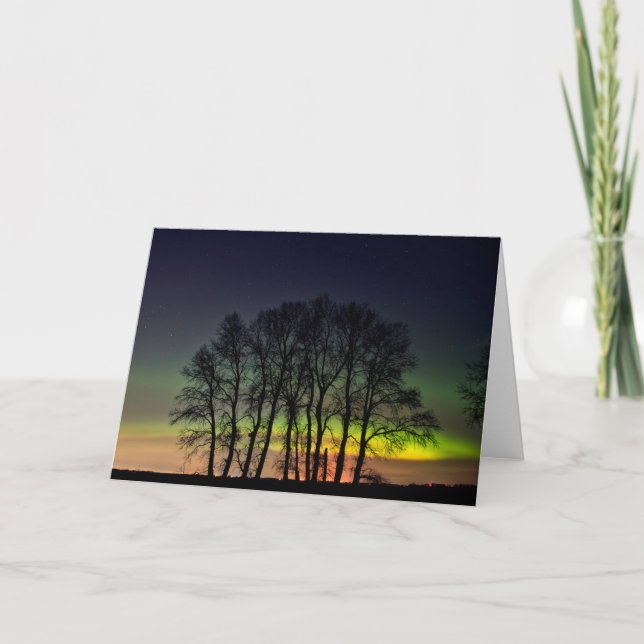 Nordlichter | Manitoba Canada Grande Pointe Karte (Vorderseite)