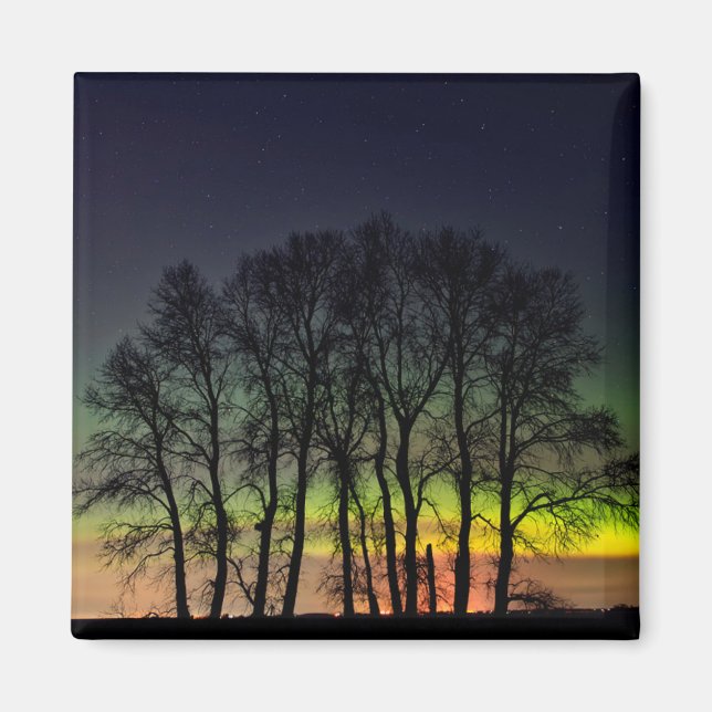Nordlichter | Manitoba Canada Grande Pointe Magnet (Vorne)