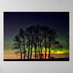 Nordlichter Manitoba Kanada Grande Pointe Poster