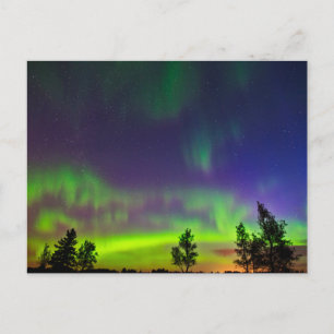 Nordlichter   Manitoba Kanada Postkarte