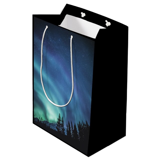 Nordlichter Mittlere Geschenktüte (Rückseite Schrägansicht)