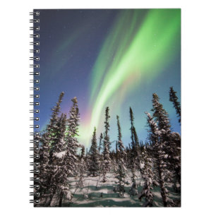 Nordlichter   Nationalpark Denali Notizblock