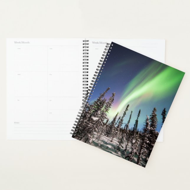 Nordlichter | Nationalpark Denali Planer (Anzeige)