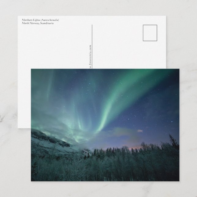 Nordlichter Norwegen Postkarte (Vorne/Hinten)