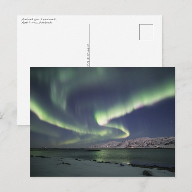 Nordlichter Norwegen Postkarte (Vorne/Hinten)