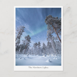 Nordlichter Norwegen Postkarte