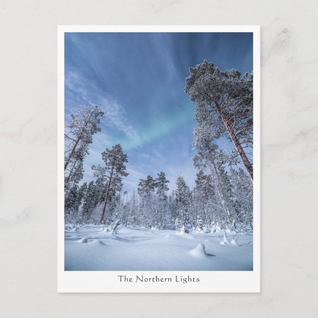 Nordlichter Norwegen Postkarte (Vorderseite)