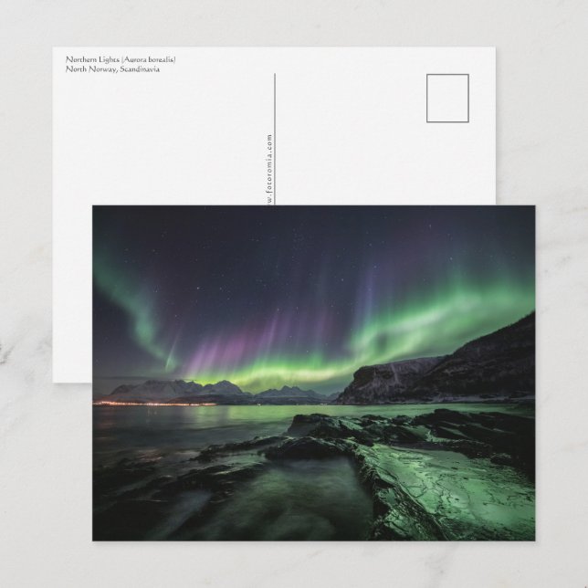 Nordlichter Norwegen Postkarte (Vorne/Hinten)
