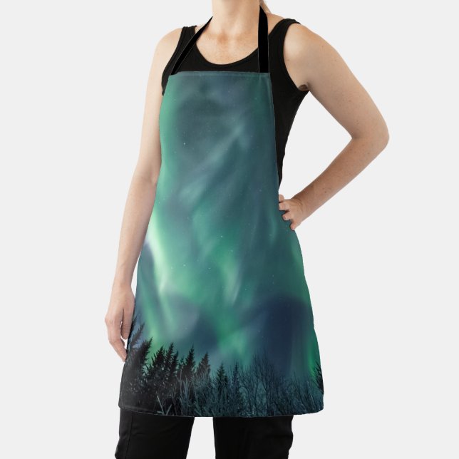 Nordlichter Norwegen Schürze (InSitu)