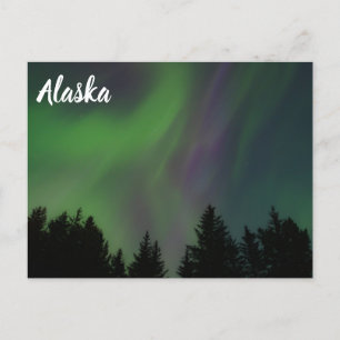 Nordlichter über Alaska Postkarte