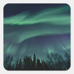 Nordlichter von Alaska Quadratischer Aufkleber