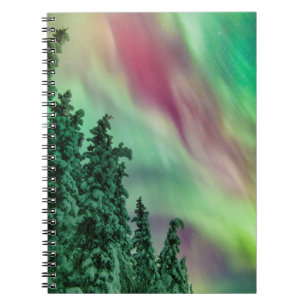 Nordlichter Winter in Glennallen, Alaska Notizblock
