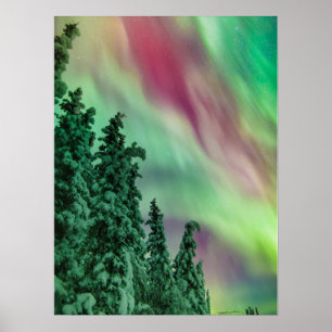 Nordlichter   Winter in Glennallen, Alaska Poster