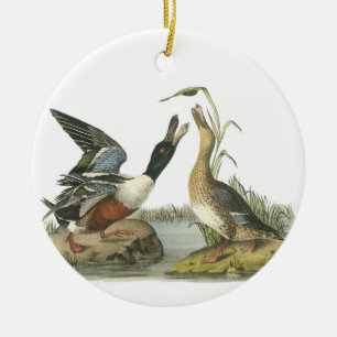 Nordlöffelente, John Audubon Keramikornament