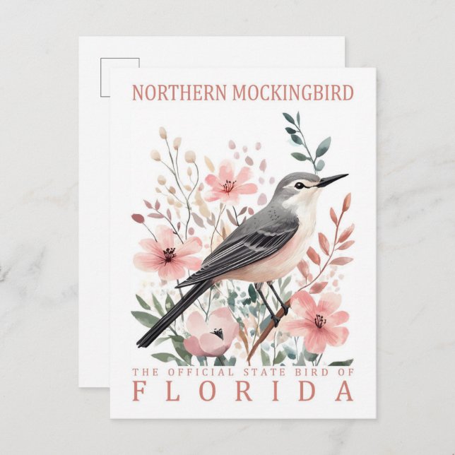Nordmockingbird Bird of Florida USA Travel Postkarte (Vorne/Hinten)