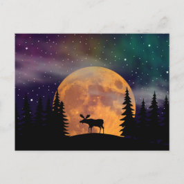 Nordnachtnordlichter Postkarte