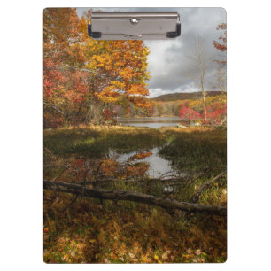 Nordost-Herbst Klemmbrett