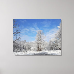 Nordost-Winter-Szene Leinwanddruck