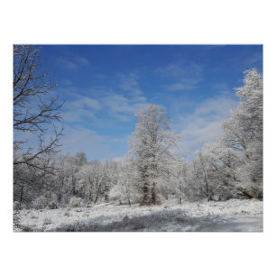 Nordost-Winter-Szene Poster