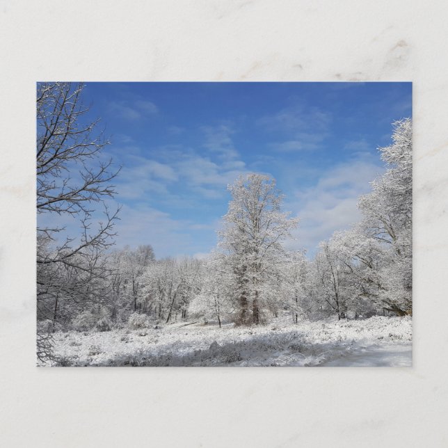 Nordost-Winter-Szene Postkarte (Vorderseite)