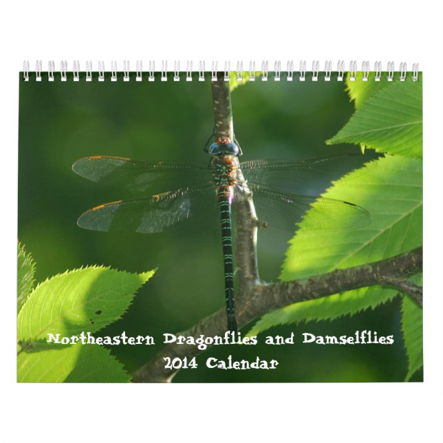 Nordöstlicher LibellenDamselflieskalender Kalender (Titelbild)