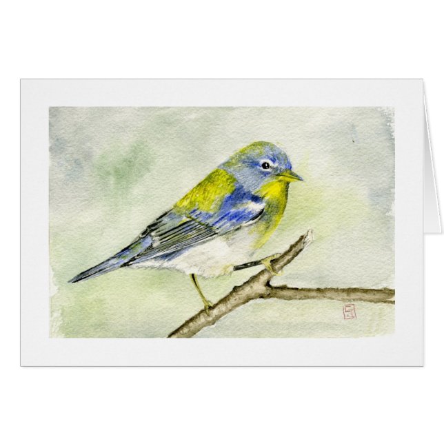 NordParula (Vorderseite (Horizontal))