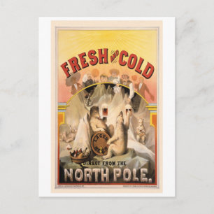 Nordpol-BIER Eiskalt Vintage-Werbung Postkarte