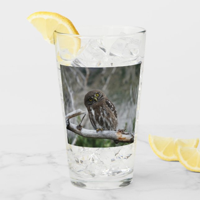 Nordpygmäuse Glas (Vorderseite Ice)
