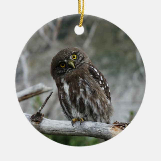 Nordpygmäuse Keramik Ornament (Vorne)
