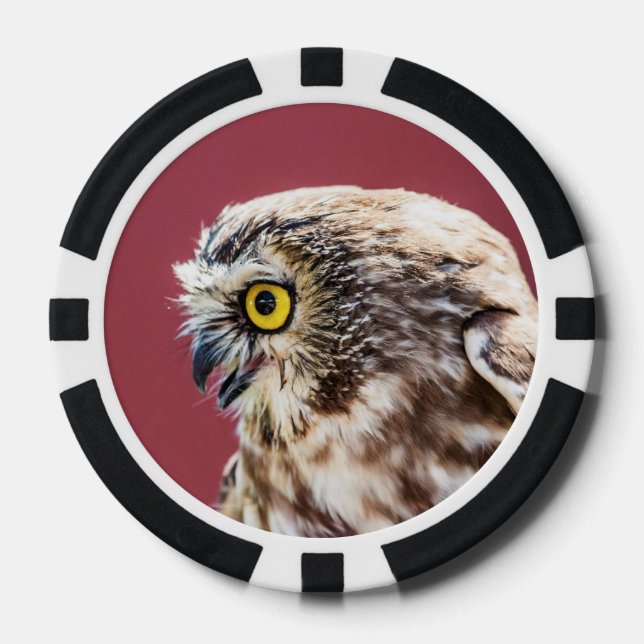 Nordsäge-Weiß-Portrait Pokerchips (Vorderseite)